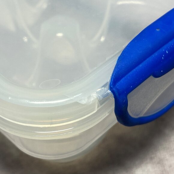 Hefty Clear & Blue Plastic 12-Egg Storage Container With Locking Lid BPA Free - Picture 5 of 16